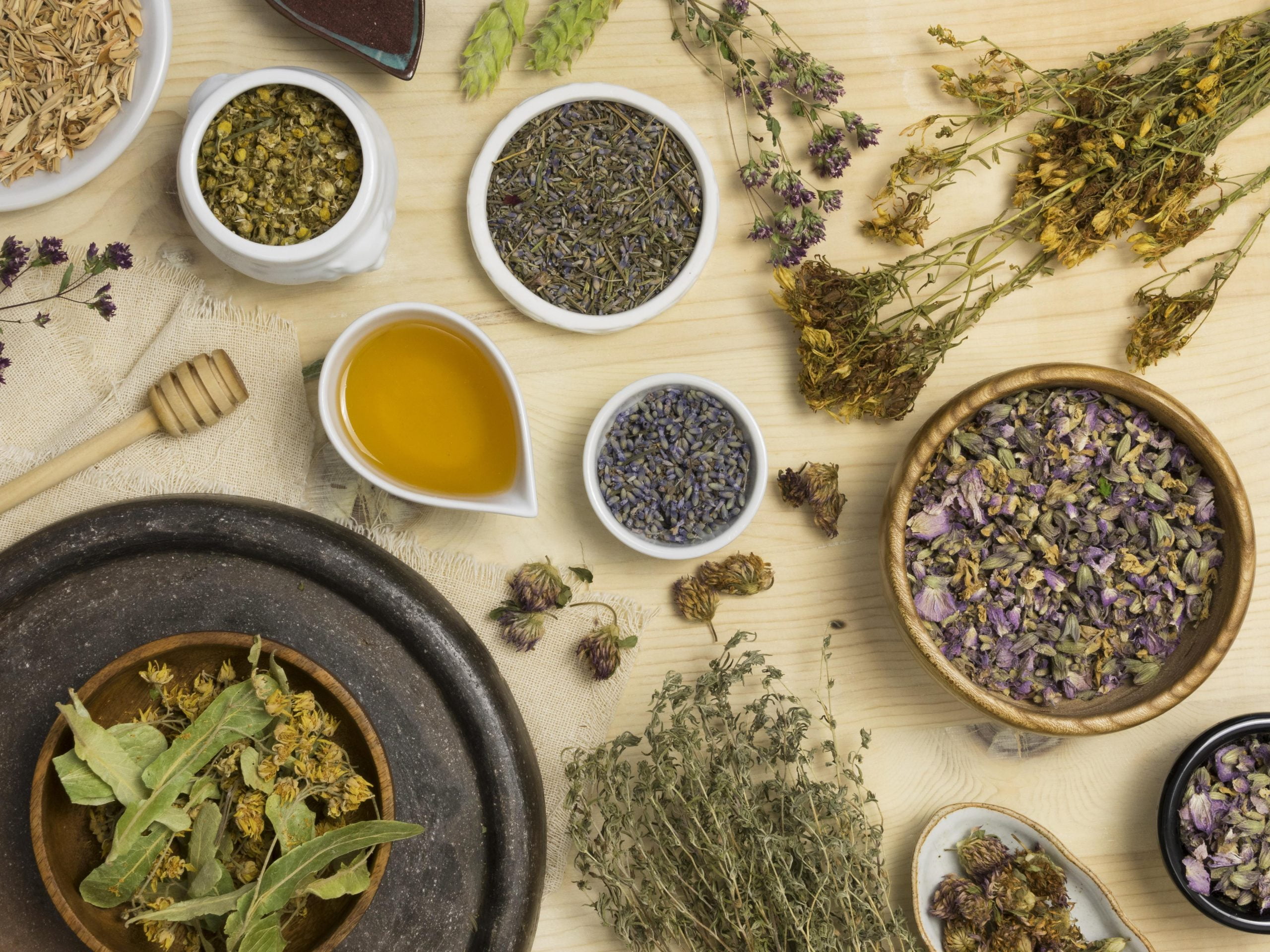 Powerful Healing Herbs